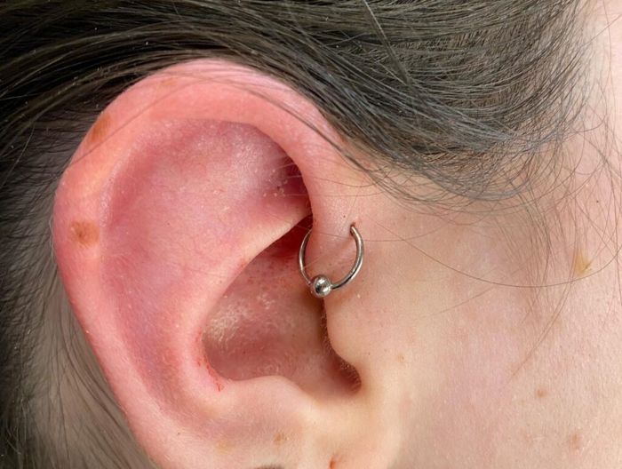 Fresh helix piercing, done at Adrenaline